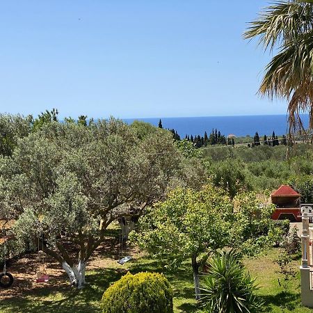 Lemon Tree Apartments A D Argostoli  Buitenkant foto