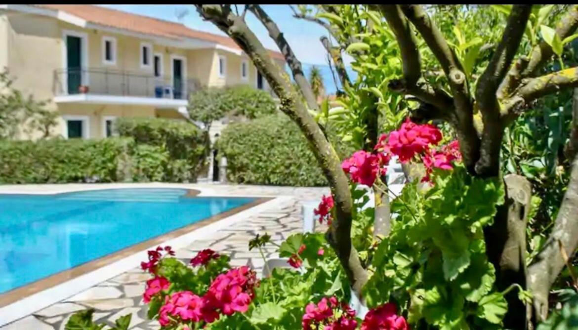 Lemon Tree Apartments A D Argostoli  Buitenkant foto